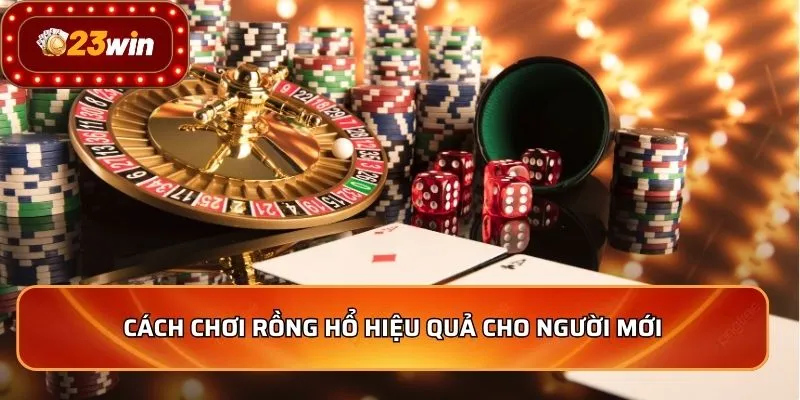 Cách chơi rồng hổ hiệu quả cho người mới