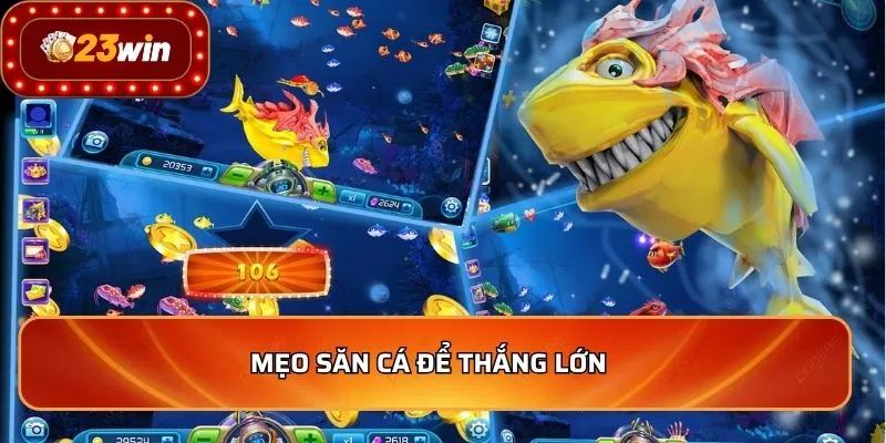 Mẹo săn cá để thắng lớn