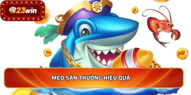 Mẹo săn thưởng hiệu quả