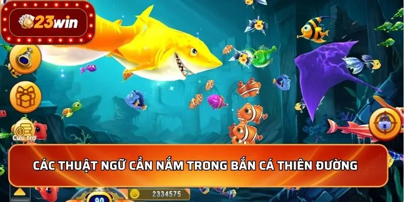 Các thuật ngữ cần nắm trong Bắn Cá Thiên Đường