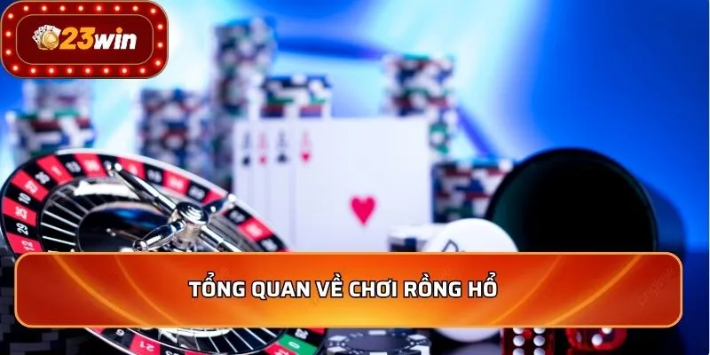 Tổng quan về chơi rồng hổ